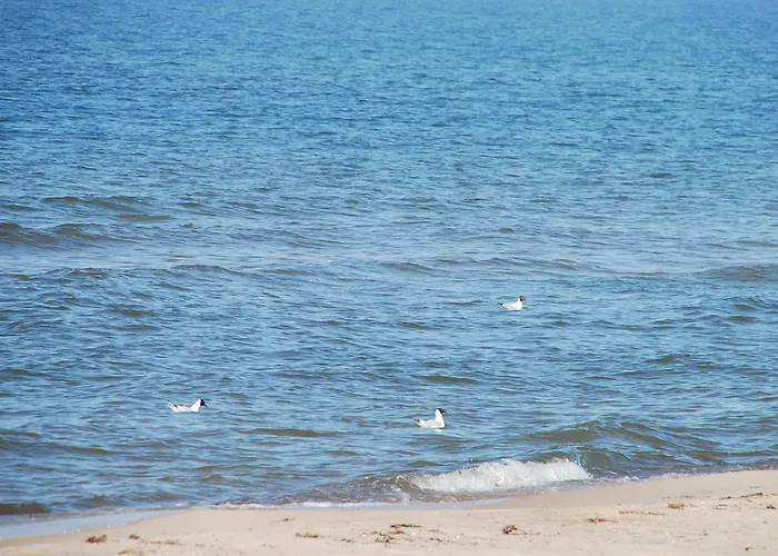 Domyletnie Maly Dom 46 M2 Z Ogrodzona Dzialka